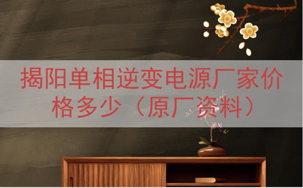 揭阳单相逆变电源厂家价格多少（原厂资料）