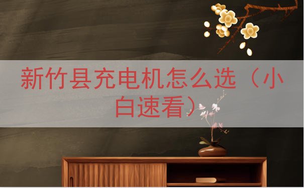 新竹县充电机怎么选（小白速看）